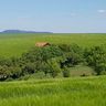 Blick über Wiesen und eine Anhöhe nahe Bosseborn. Im Hintergrund ist der Köterberg mit der Silhouette des Fernmeldeturms zu sehen.